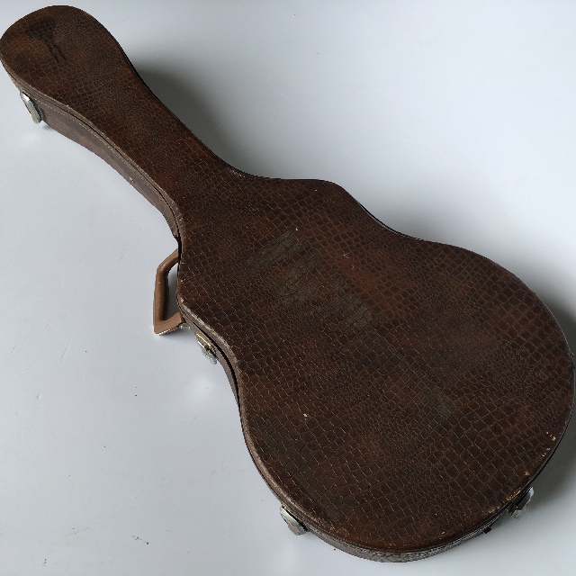 INSTRUMENT CASE, Guitar  - Brown Faux Croc